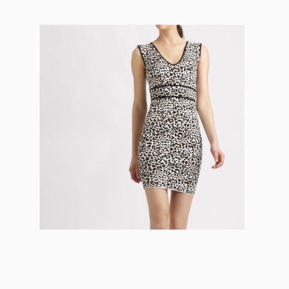 b c b g . l e o p a r d . d r e s s - Picture 3 of 8